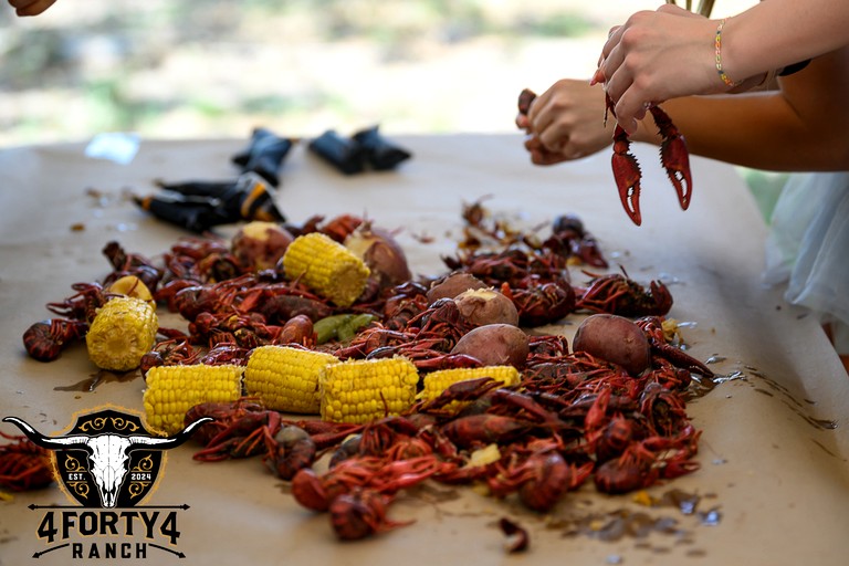 Cabins (United States of America, Alvord, Texas)