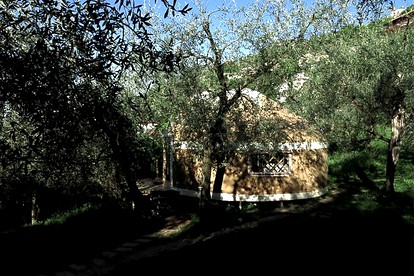undefined photo 4