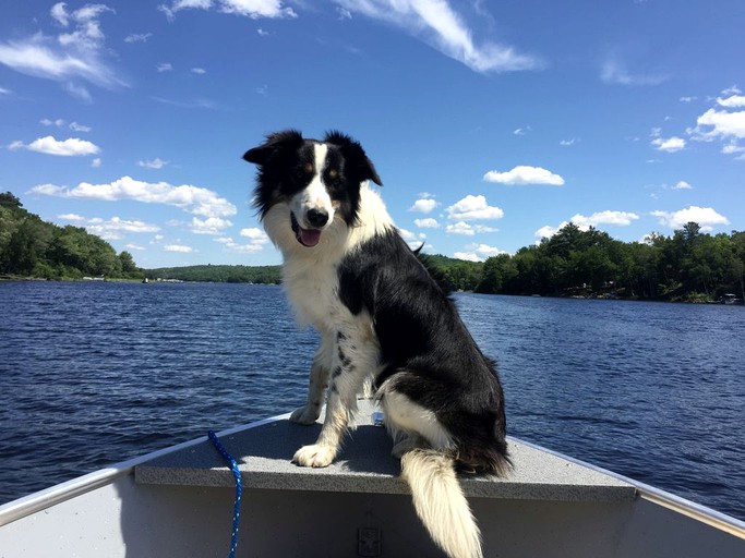 Cabins (Brownville, Maine, United States)