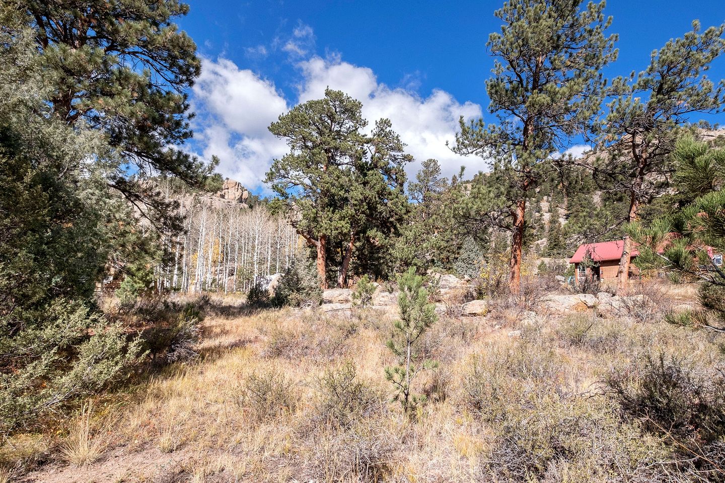 Delightful Rustic Cabin with Fireplace and Spectacular Mountain Views in Estes Park, Colorado