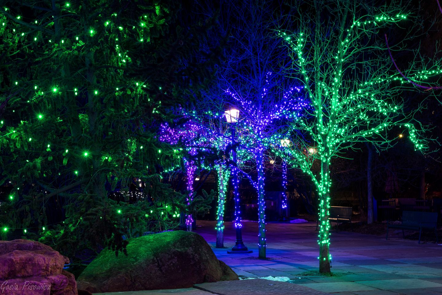 Delightful Rustic Cabin with Fireplace and Spectacular Mountain Views in Estes Park, Colorado
