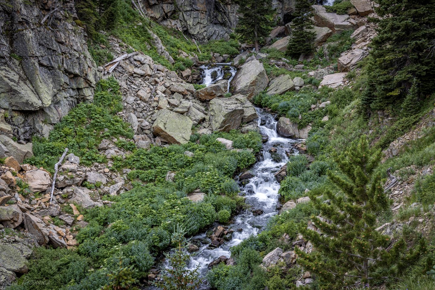 Delightful Rustic Cabin with Fireplace and Spectacular Mountain Views in Estes Park, Colorado