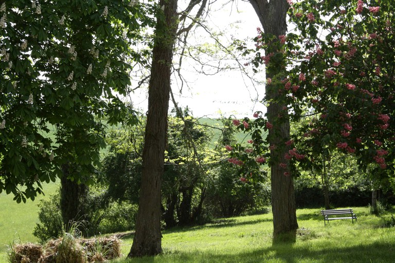 Caravans (Pech Luna, Occitanie, France)