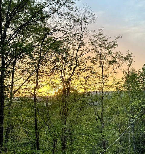 Vacation Rentals (United States of America, --, --)