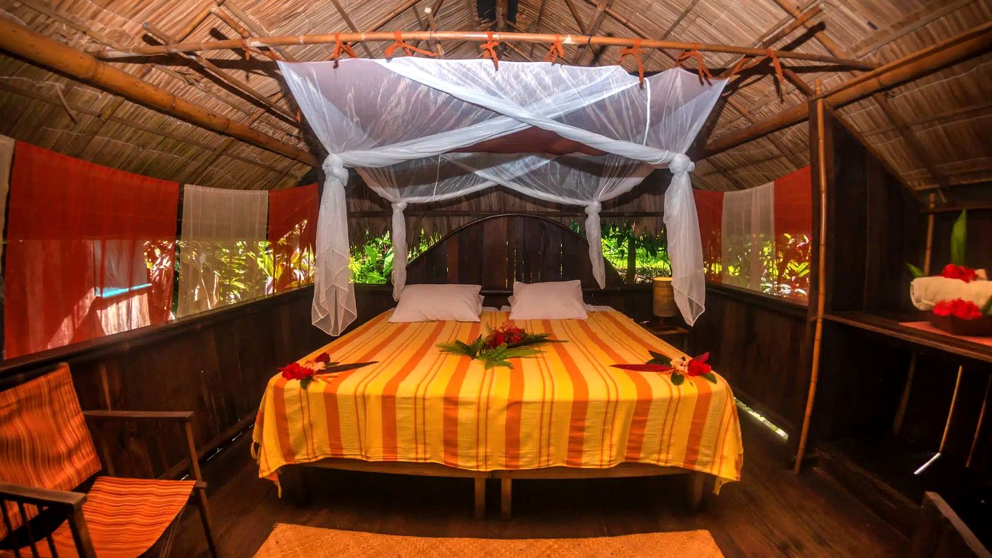 Private Jungle Cabin Rental Surrounded by Wildlife near Beach in Corcovado