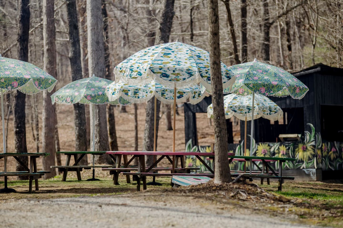 Chic and Cozy: Romantic Glamping at Its Finest in Tennessee