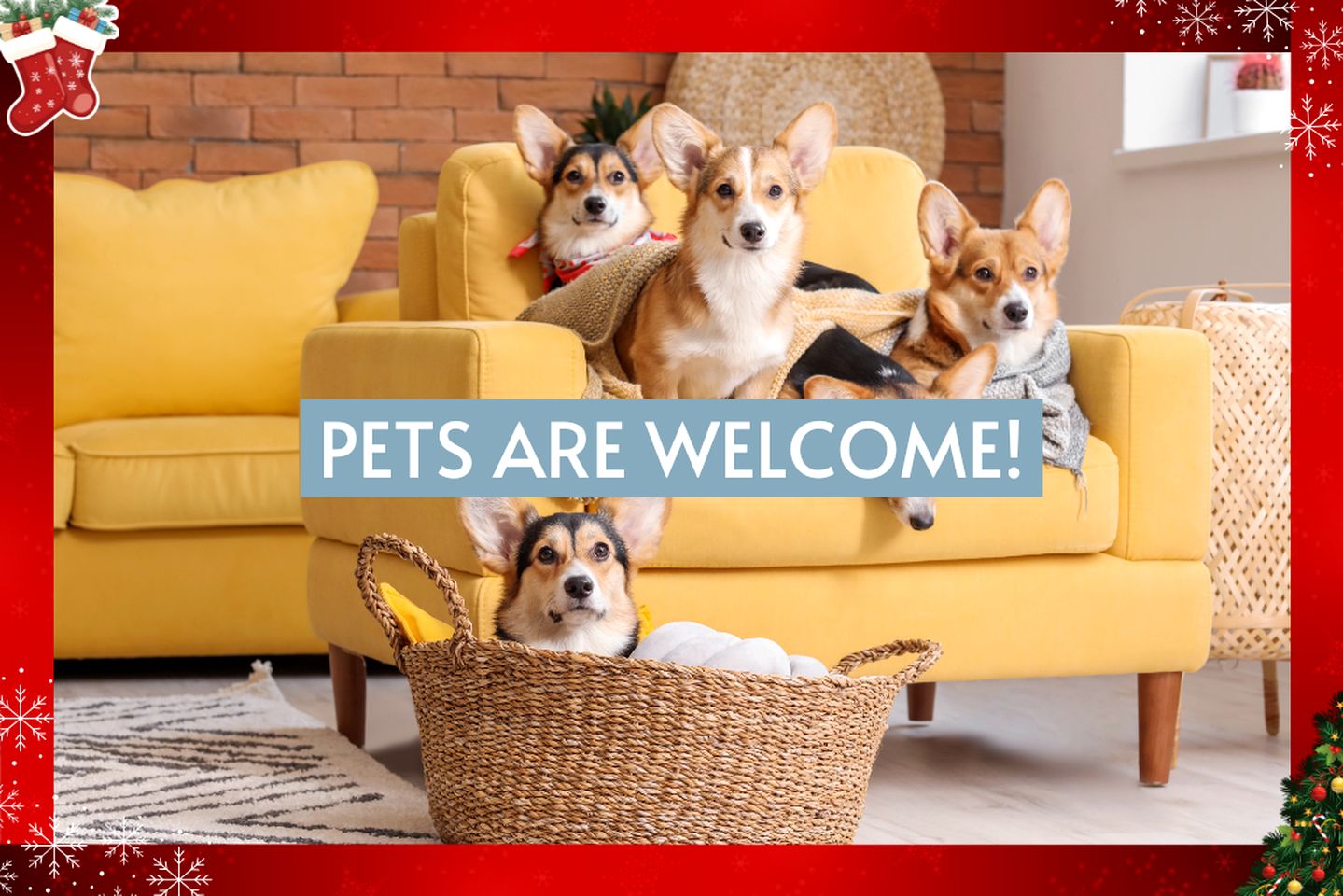 Chic, Renovated Barn with Hot Tub near the Heart of Fredericksburg Texas, Perfect for a Rustic Escape