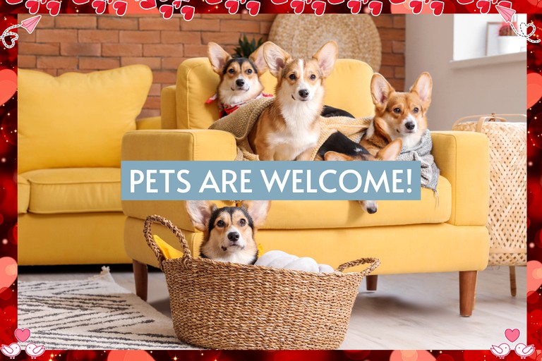 Barns (United States of America, Fredericksburg, Texas)