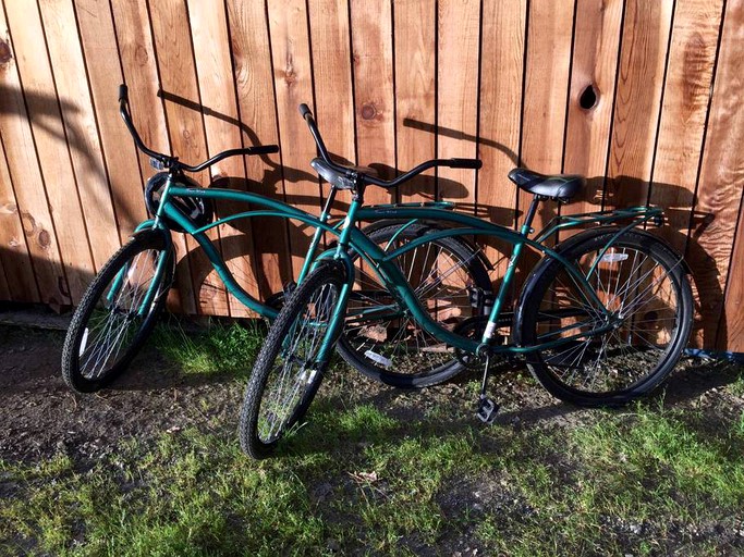 Cabins (Badger, California, United States)