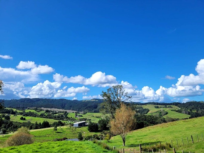Tiny Houses (New Zealand, Whangarei, North Island)
