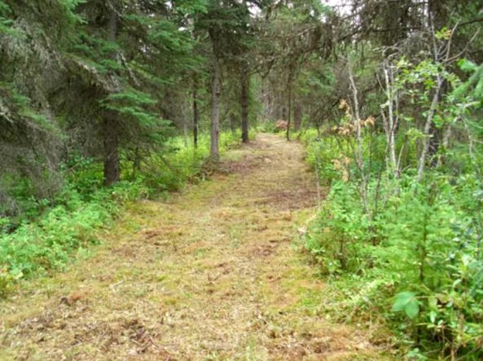 Nature Lodges (Smithers, British Columbia, Canada)