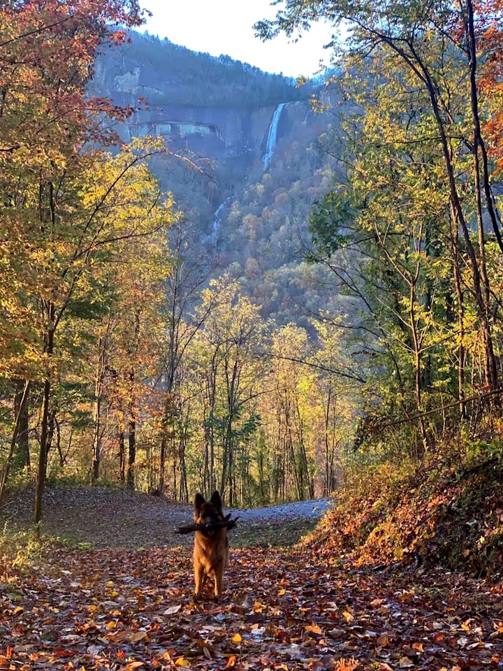 Mountain Hideaway with Waterfall Views & Relaxing Hammocks in Chimney Rock, North Carolina