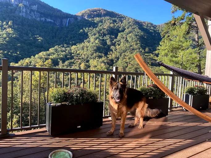 Vacation Rentals (United States of America, Chimney Rock, North Carolina)