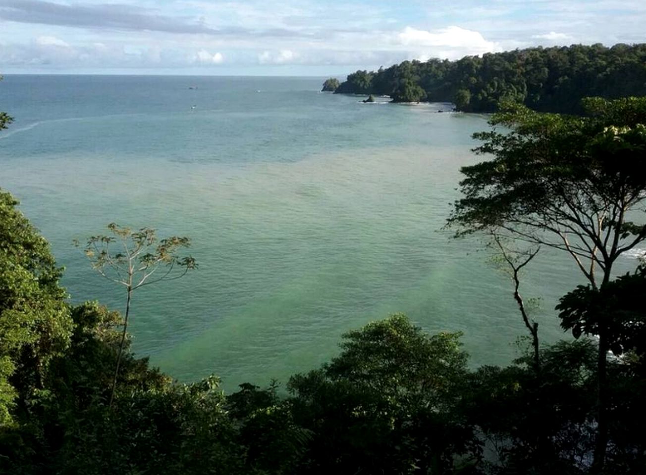 Luxury Beachside Accommodation in the Rainforest of Nuquí, Colombia