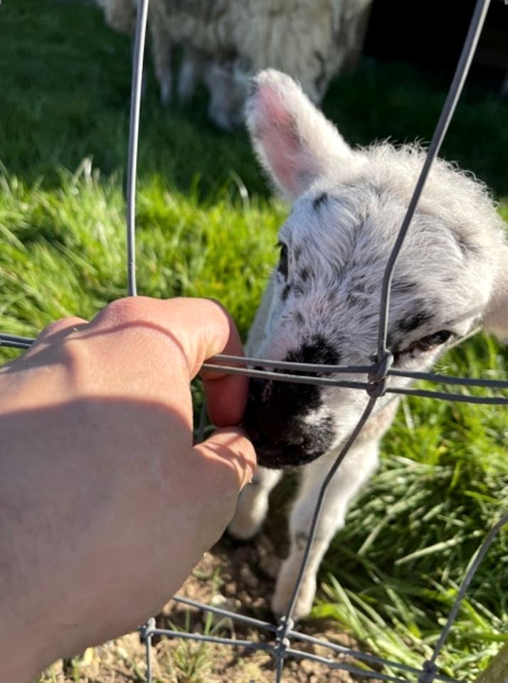 Gorgeous Fully-Equipped Cabin with Spectacular Outdoor Living Space in UK