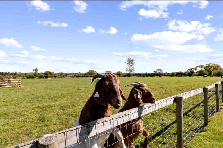 Cabins (United Kingdom, --, West Sussex)