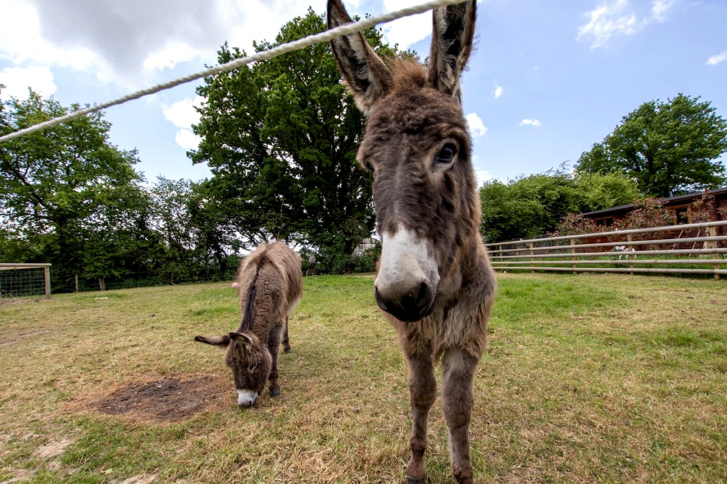 Gorgeous Fully-Equipped Cabin with Spectacular Outdoor Living Space in UK