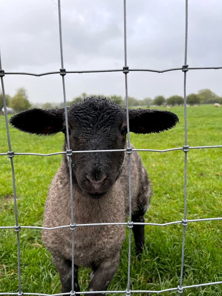 Gorgeous Fully-Equipped Cabin with Spectacular Outdoor Living Space in UK