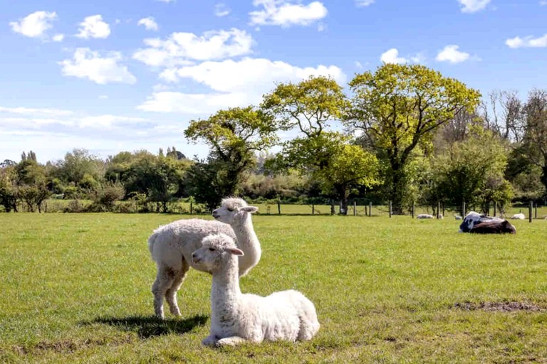 Cabins (United Kingdom, --, West Sussex)