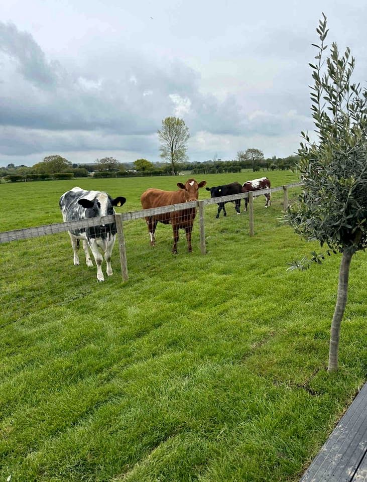 Amazing Family-Friendly Pod with Jacuzzi and BBQ in UK