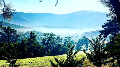Rustic and Modern Yarra Valley Accommodation for Horseback Riding, Victoria - Photo 2