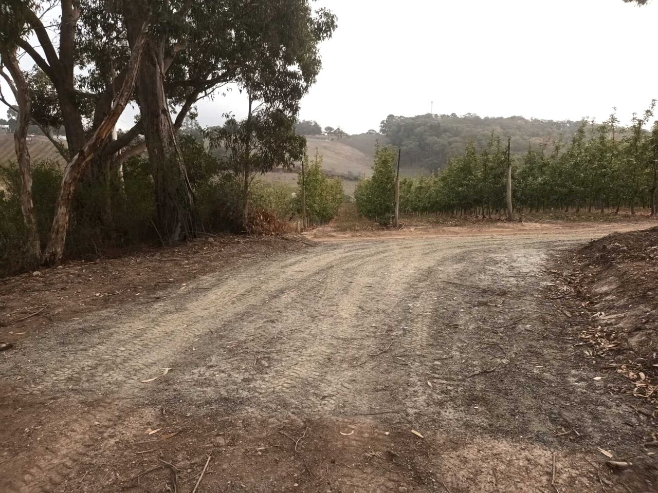 Charming Farm Stay Tiny Home with Apple Orchard & Dam Views near Adelaide in Lenswood, South Australia