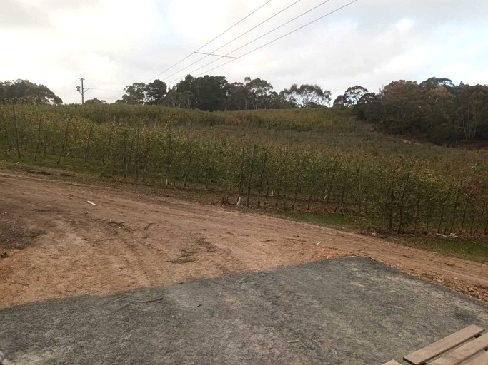 Tiny Houses (Australia, Lenswood, South Australia)
