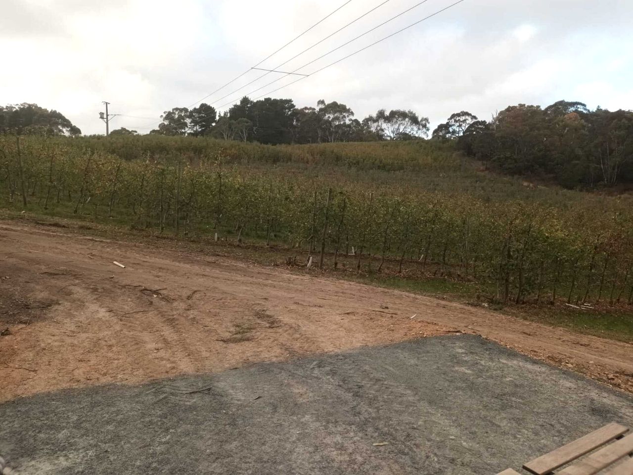 Charming Farm Stay Tiny Home with Apple Orchard & Dam Views near Adelaide in Lenswood, South Australia