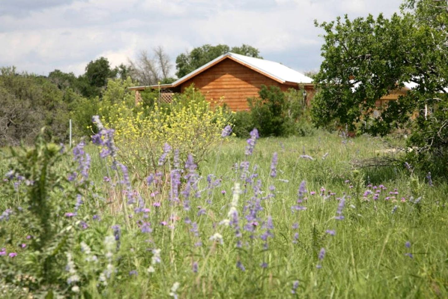 Pet-Friendly Cabin with Sweeping Views Overlooking Fredericksburg, Texas