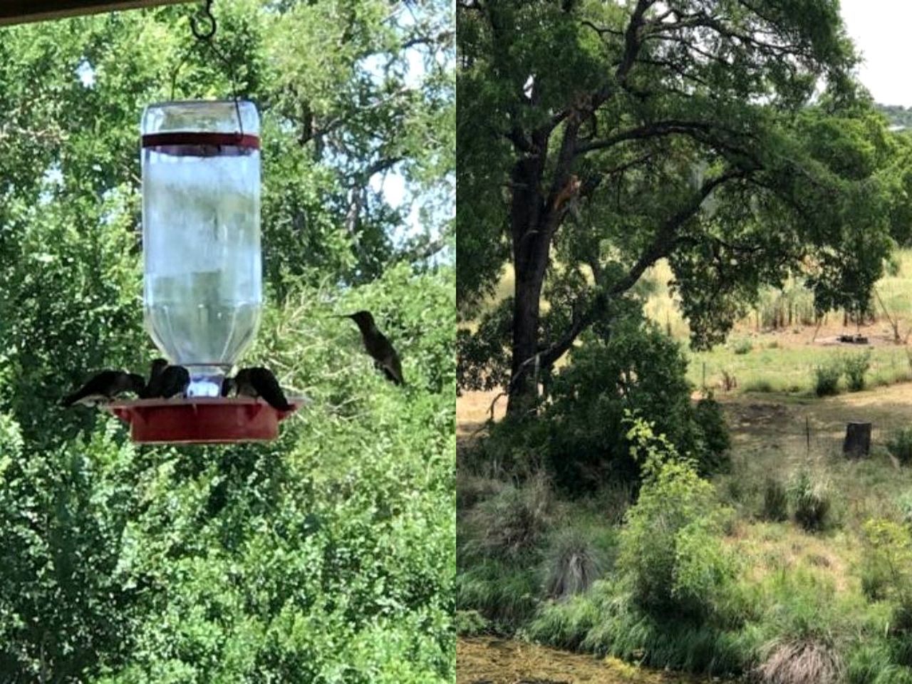 Spacious Accommodation for Two with Direct Creek Access for Fishing in Fredericksburg, Texas