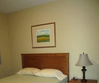 undefined photo 5