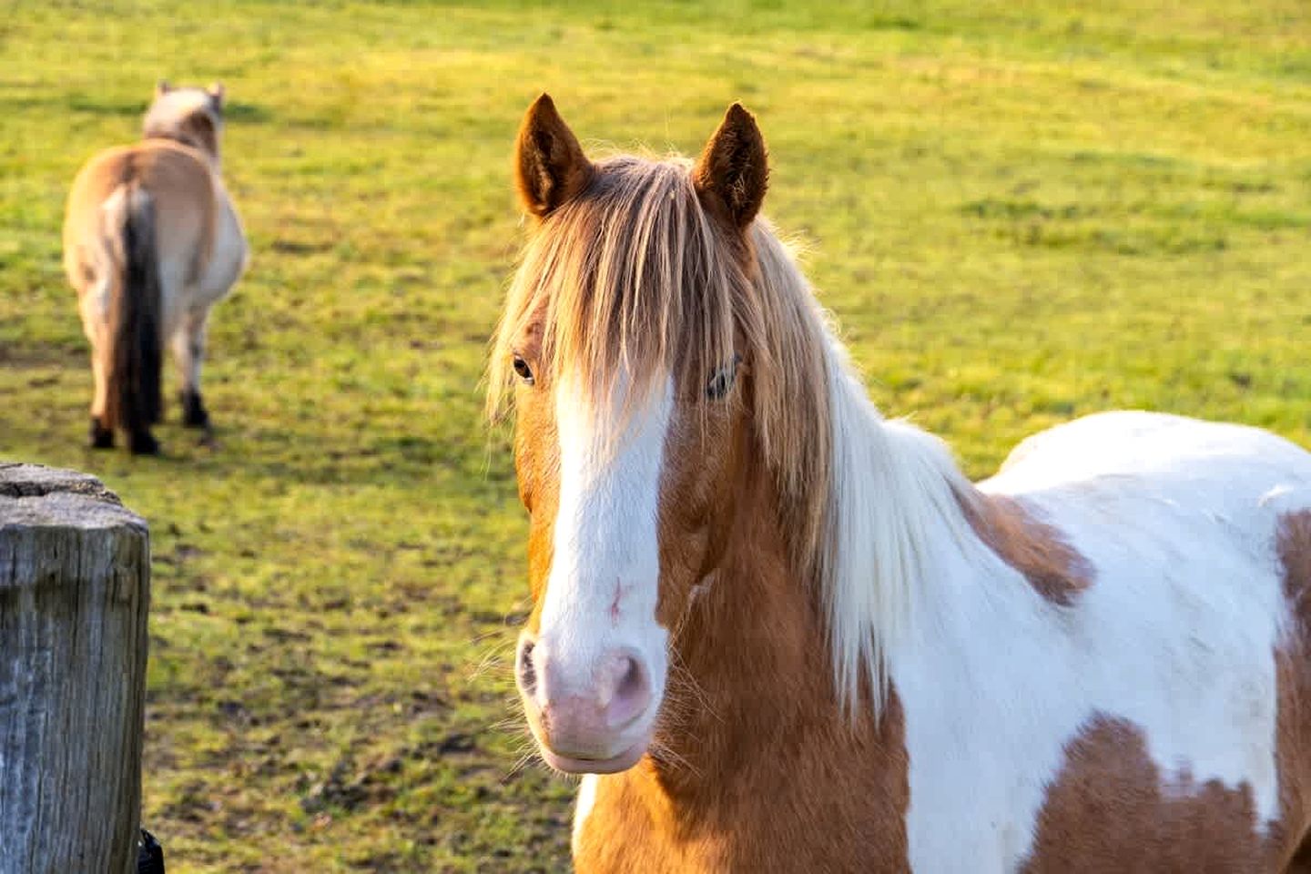 Charming Panoramic Tiny House with Eco-Friendly Design Near Saint-Pierre-Eynac, France