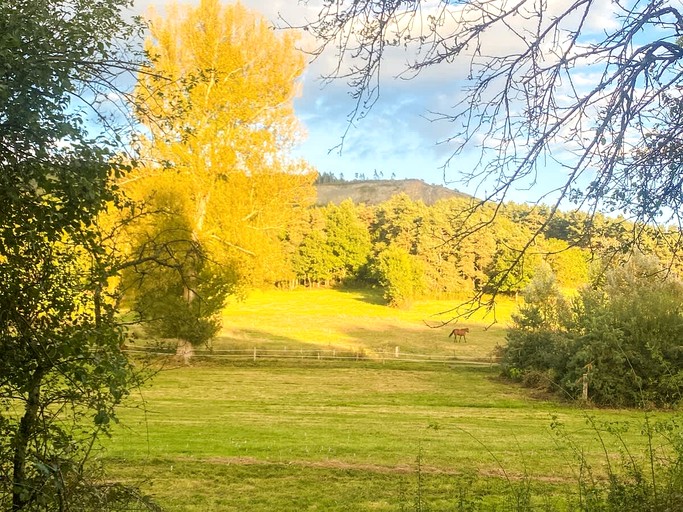 Vacation Rentals (France, --, Auvergne-Rhône-Alpes)