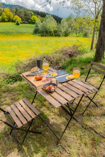 Vacation Rentals (France, --, Auvergne-Rhône-Alpes)