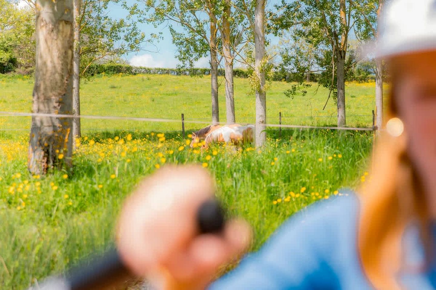 Charming Panoramic Tiny House with Eco-Friendly Design Near Saint-Pierre-Eynac, France