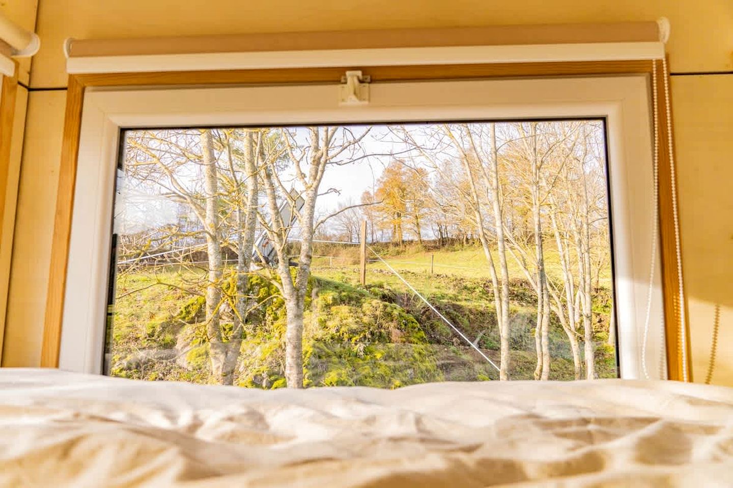 Charming Panoramic Tiny House with Eco-Friendly Design Near Saint-Pierre-Eynac, France