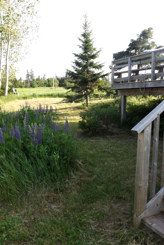 Fantastic Prince Edward Island Yurt Rental near Beautiful Basin Head Provincial Park