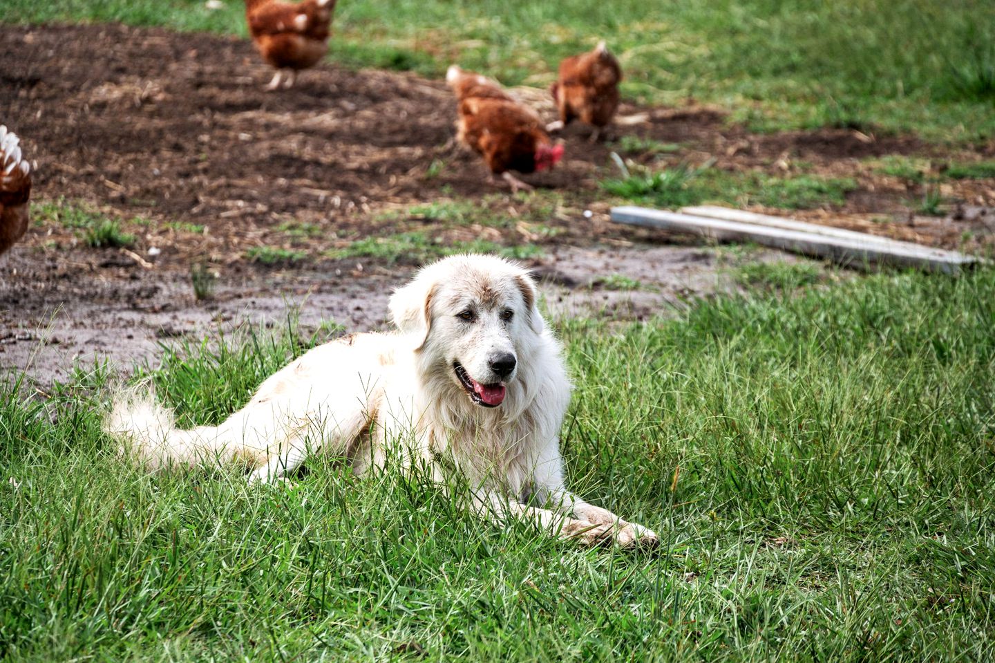 Clarence Farm Stay in James Creek, New South Wales