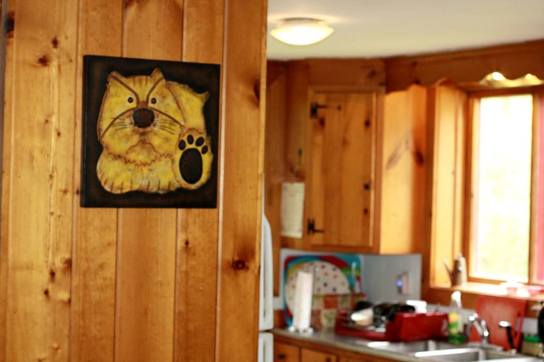 Cabins (Winhall, Vermont, United States)