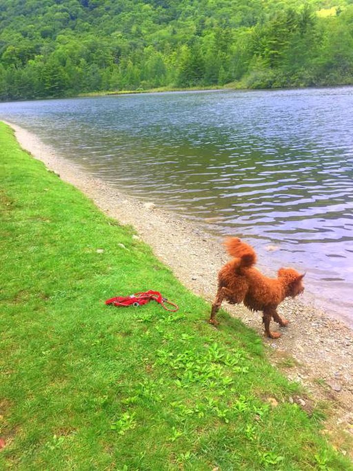 Vacation Rental for Groups near Great Skiing Opportunities in Winhall, Vermont