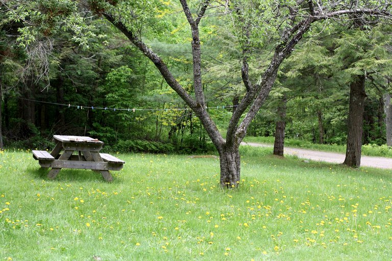 Cabins (Winhall, Vermont, United States)