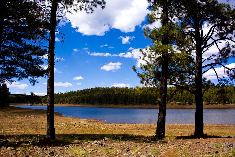 Cabins (Williams, Arizona, United States)