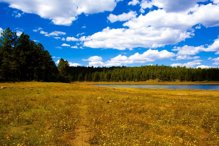 Cabins (Williams, Arizona, United States)