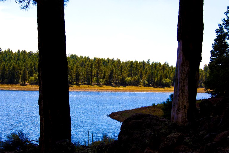 Cabins (Williams, Arizona, United States)