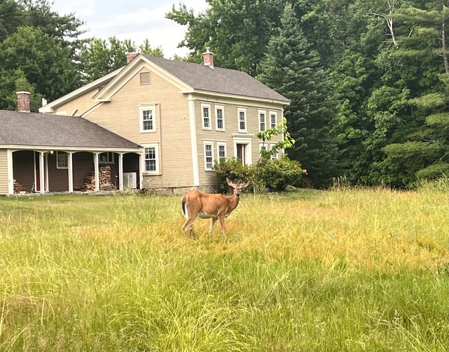 Cabins (United States of America, Fryeburg, Maine)