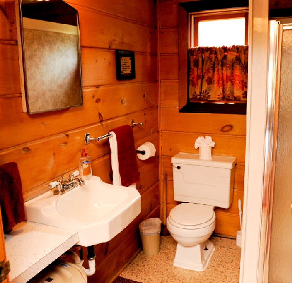 Idyllic Cabin Rental for the Perfect Summer Vacation on Clear Lake in Michigan