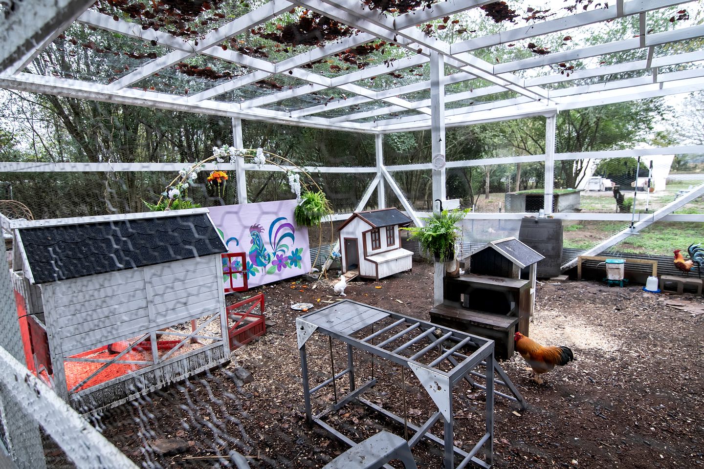 Cute Safari Tent with Fire Pit in Murfreesboro, Arkansas