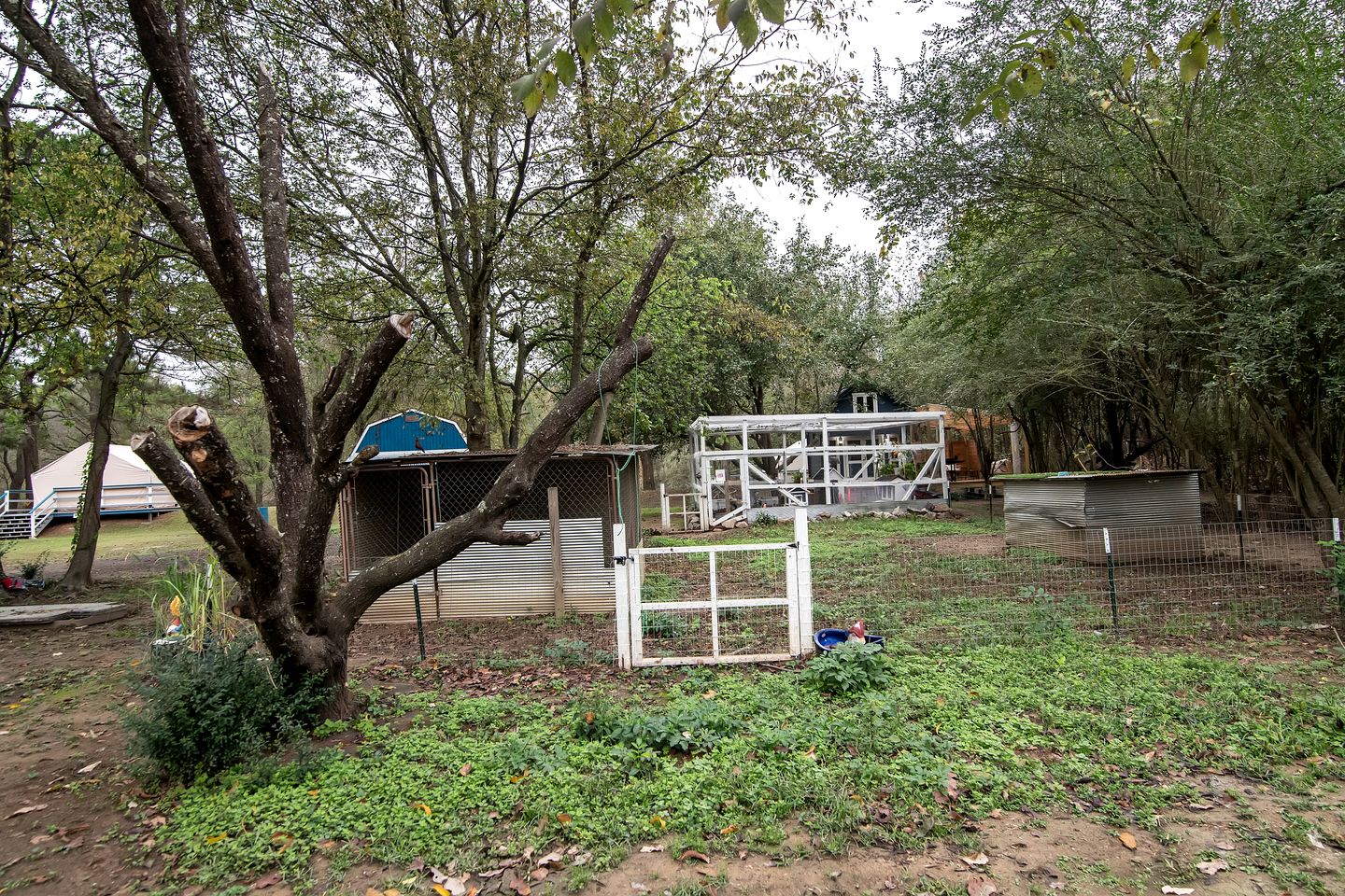 Cute Safari Tent with Fire Pit in Murfreesboro, Arkansas