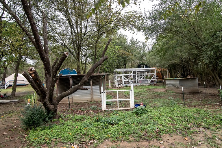 Safari Tents (United States of America, Murfreesboro, Arkansas)