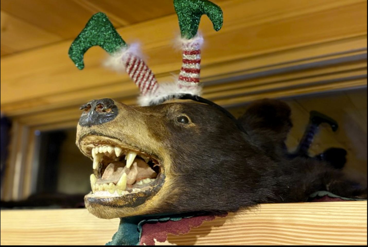 Secluded Lakefront Hideaway with Dock, Fire Pit & Forest Views in Greenville, Maine